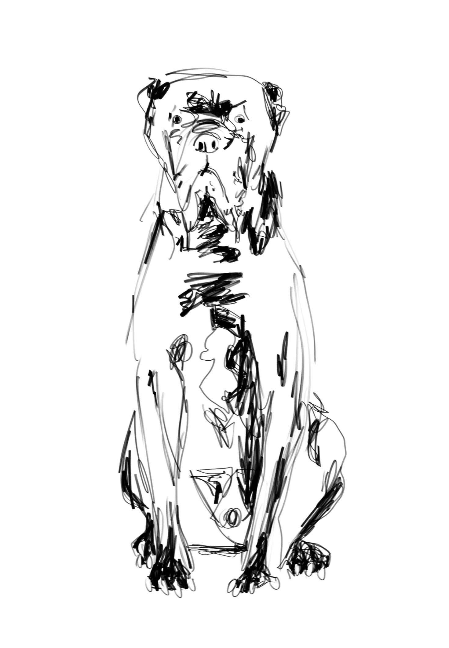 Untitled Untitled