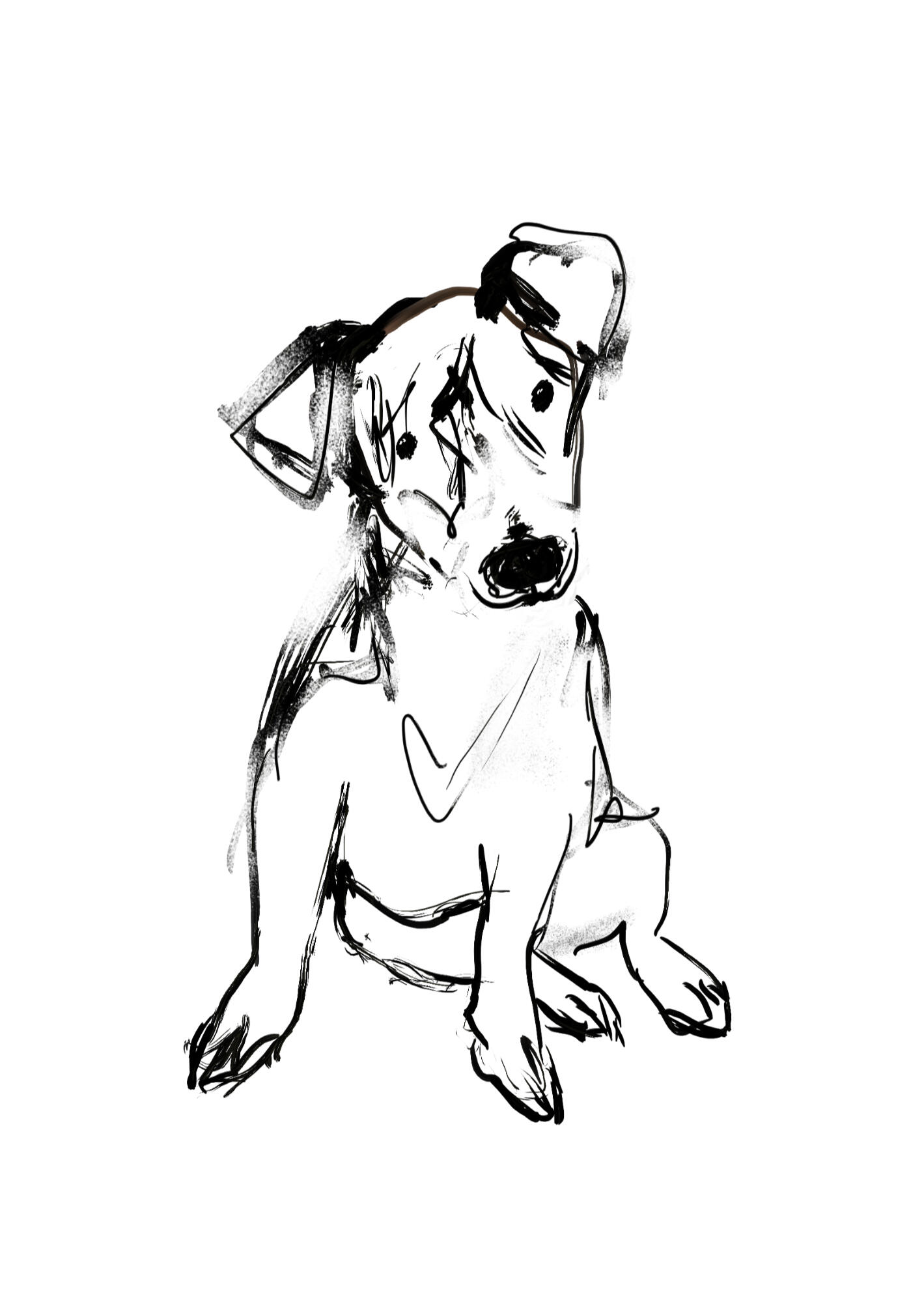 Untitled Untitled